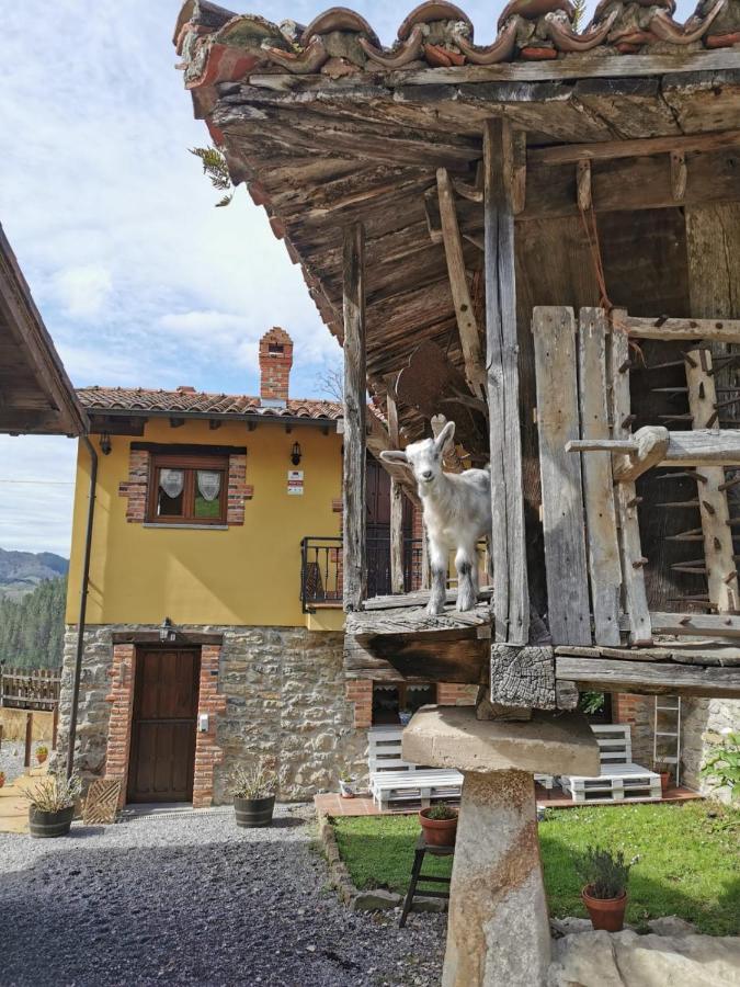 Onís Carroceu Rural 아파트 외부 사진